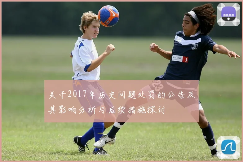 关于2017年历史问题处罚的公告及其影响分析与后续措施探讨